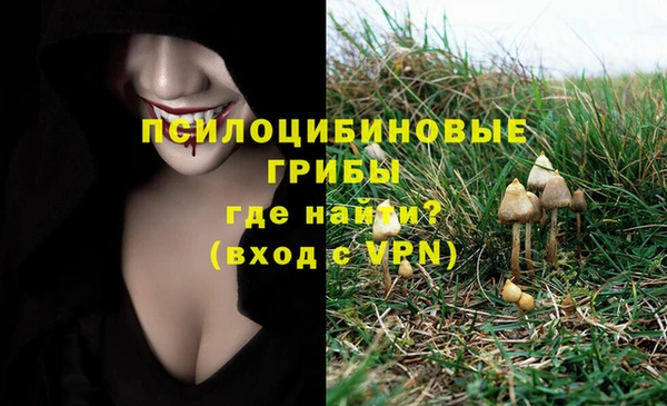 прущие крисы Аркадак