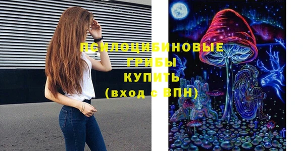 PSILOCYBIN Арсеньев
