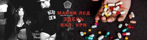 прущие крисы Аркадак