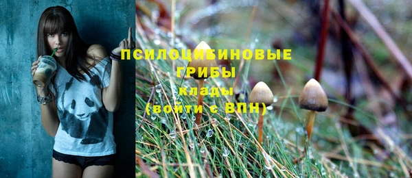 бошки Армянск